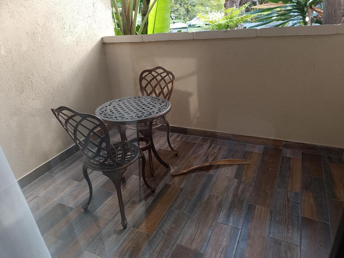 מלון הארארה Jacaranda מראה חיצוני תמונה