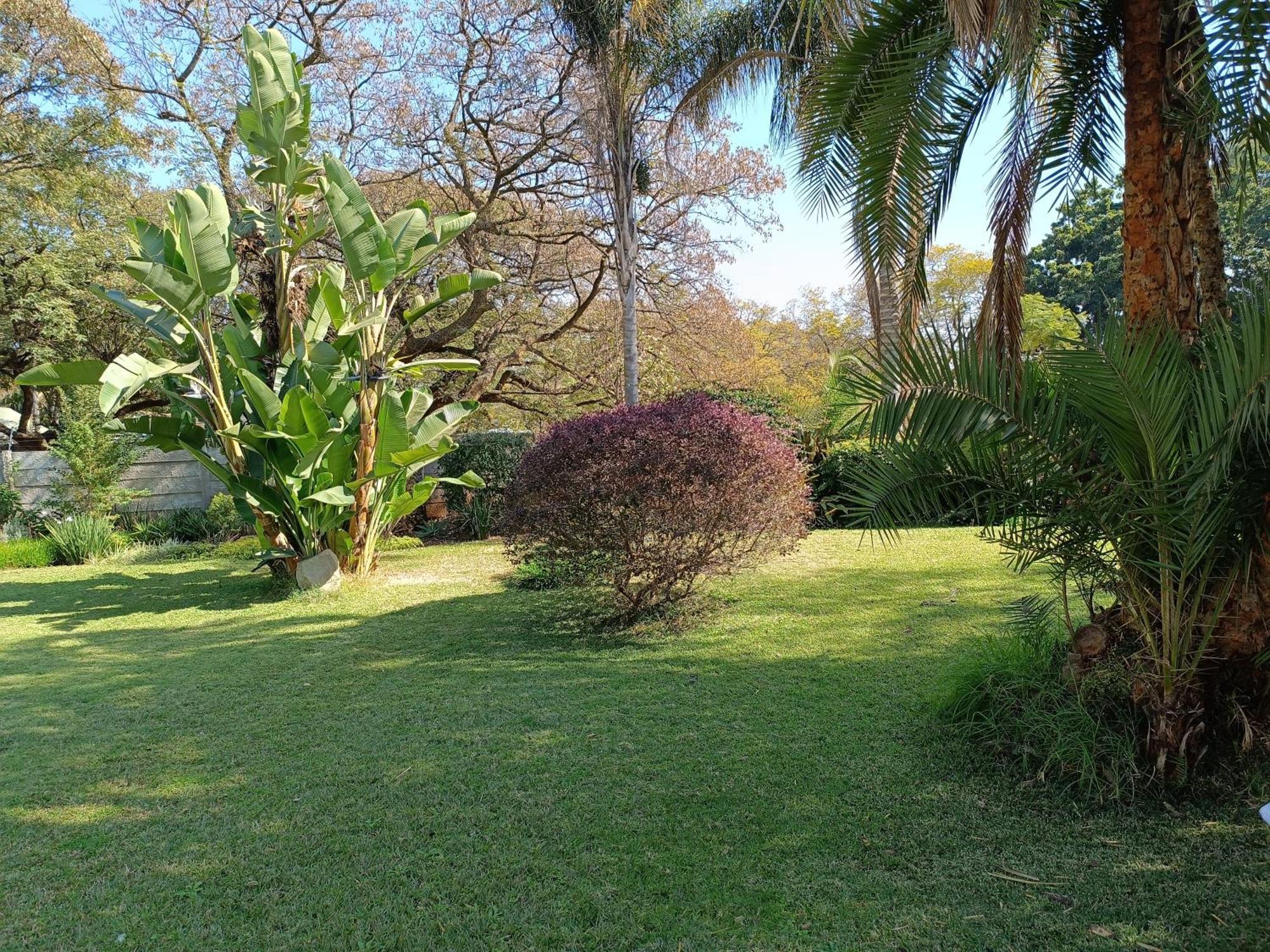 מלון הארארה Jacaranda מראה חיצוני תמונה